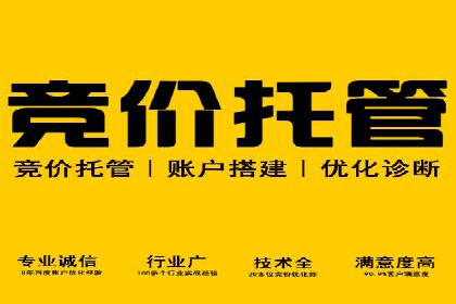 SEM竞价代运营：案例展示广告投放优化技巧
